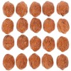 Healifty 20 X Mini Walnut Model Realistic Walnut Design Light