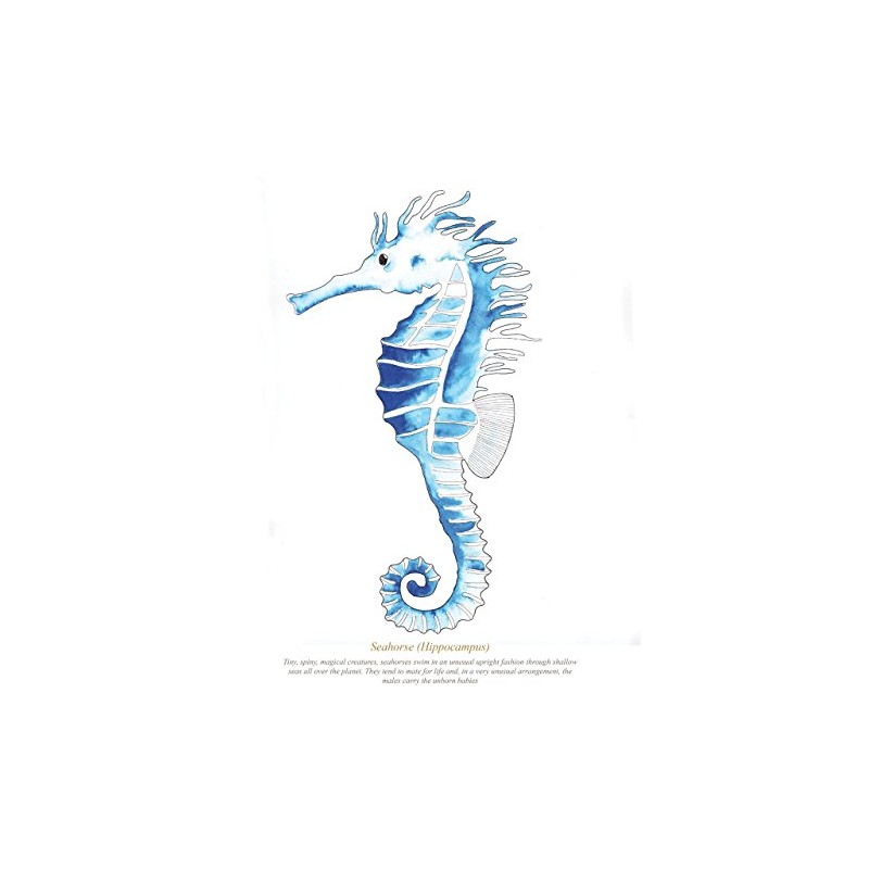 SeaKisses Seahorse A4 SeaLife Print Unframed