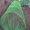 Easynets Black Butterfly Netting 3.5m Wide 3-4mm mesh size polyethylene