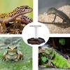 QIODAZOO Reptile Water Bowl 2 in 1 Bowl 270ml Reptile