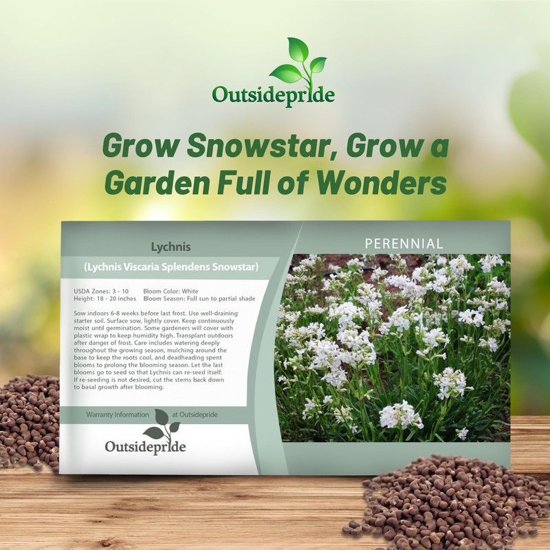 Outsidepride Snowstar Lychnis Seeds - 50000 Pcs Perennial Flower Seeds