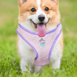 AIITLE Soft Dog Harness No Choke Over, Cute Seersucker Puppy Harness with A Leash, Adjustable Pet Vest Harness for Outdoor Walking, Training for Small Dogs, Cats Pink XS