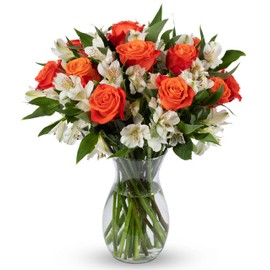 Benchmark Bouquets, Dazzling Roses & Alstroemeria, Glass Vase Included, Gift Fresh Flowers for Birthday, Anniversary, Get Well, Sympathy, Congratulations, Thank You, Just Because