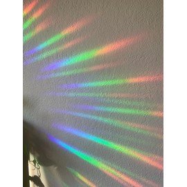 Dinosaur Window Clings for Bird Strickes - Anti-Collision Window Decals to Save Birds from Window Collisions,Non Adhesive Prismatic Window Clings, Rainbow Stickers (16PCS)