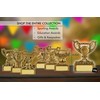 SilverTrophy: Fix It Gold Trophy Prize - Repair Wizard, Reward