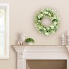 CC Christmas Decor Echinops and Daisy Artificial Spring Floral Wreath