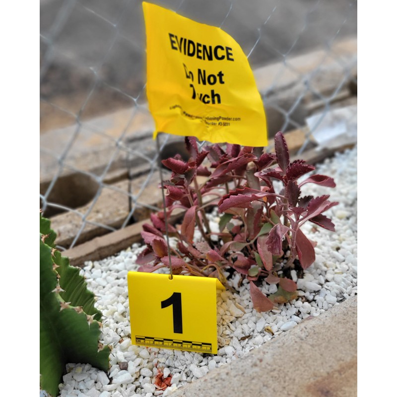 Crime Scene Evidence Tents with Scale, Numbered 1-20