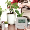 Automatic Drip Irrigation Kit Smart APP WiFi Programmable Timing Irrigaition