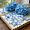 12Pcs Blue Preserved Dried Flowers Plant,Wide Applications Dried Pressed Flowers