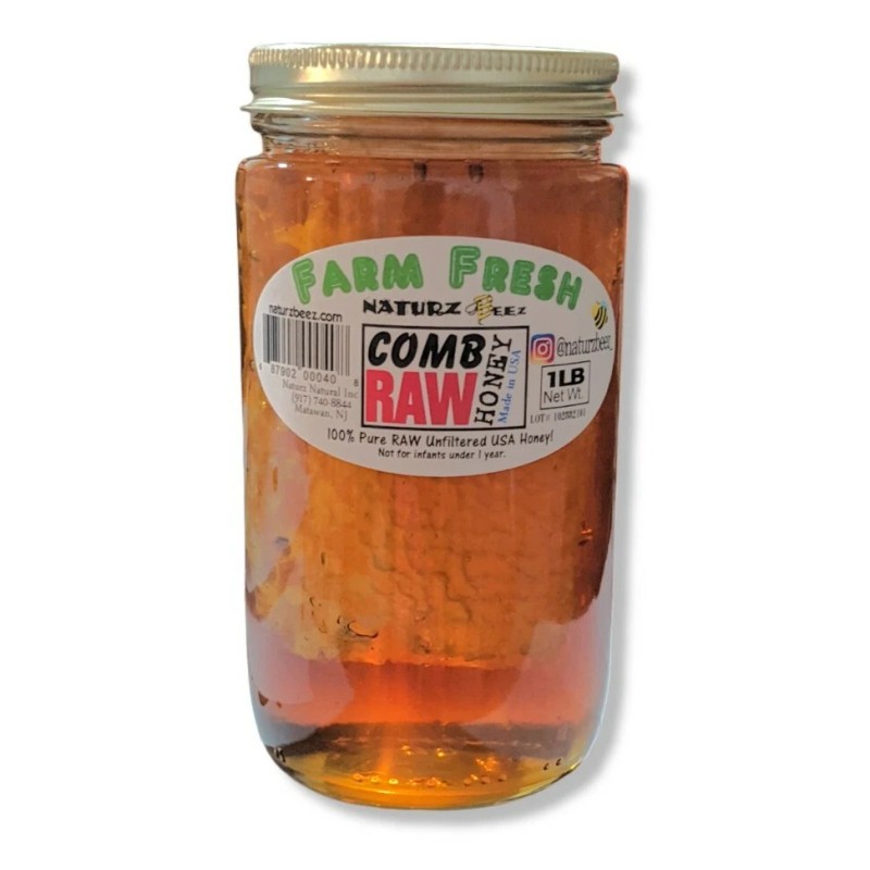 NATURZ BEEZ RAW HONEY COMB 1LB RAW HONEY 1LB 2-PACK