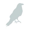 Crow Sticker - Decal - Die Cut - Raven Blackbird