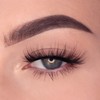 Queen Tarzi Nora Lashes