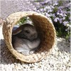 Rosewood Small Animal Activity Hyacinth Tunnel Boredom Breaker, Large