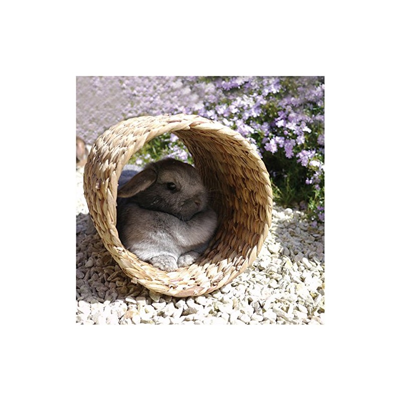 Rosewood Small Animal Activity Hyacinth Tunnel Boredom Breaker, Large