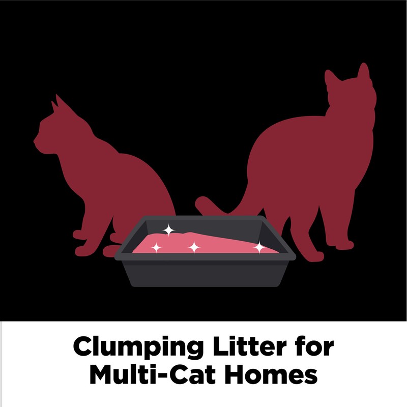 ARM & HAMMER Clump & Seal Platinum Cat Litter, Multi-Cat,