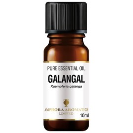 Amphora Aromatics Galangal Essential Oil 10ml