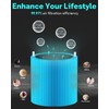 Leemone Blue Pure 311i Max AllergenBlock Replacement Filter Compatible with