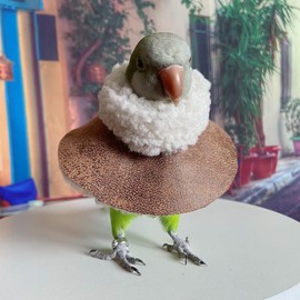 Parrot Neck Collar Pet Anti-bite Picking Feather Healing Protective Neck Cover Collar for Birds (4XL)