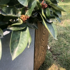 Kante Concrete Modern Rectangle Outdoor Planter, 23" Long Lightweight Planter Pot for Patio, Garden, Backyard Timber Ridge