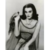 THE MUNSTERS (LILY) YVONNE DE CARLO 8x10 Photo