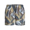 JACK & JONES Men's Jpstmaui Jjswim Ocean Days AKM, Silver