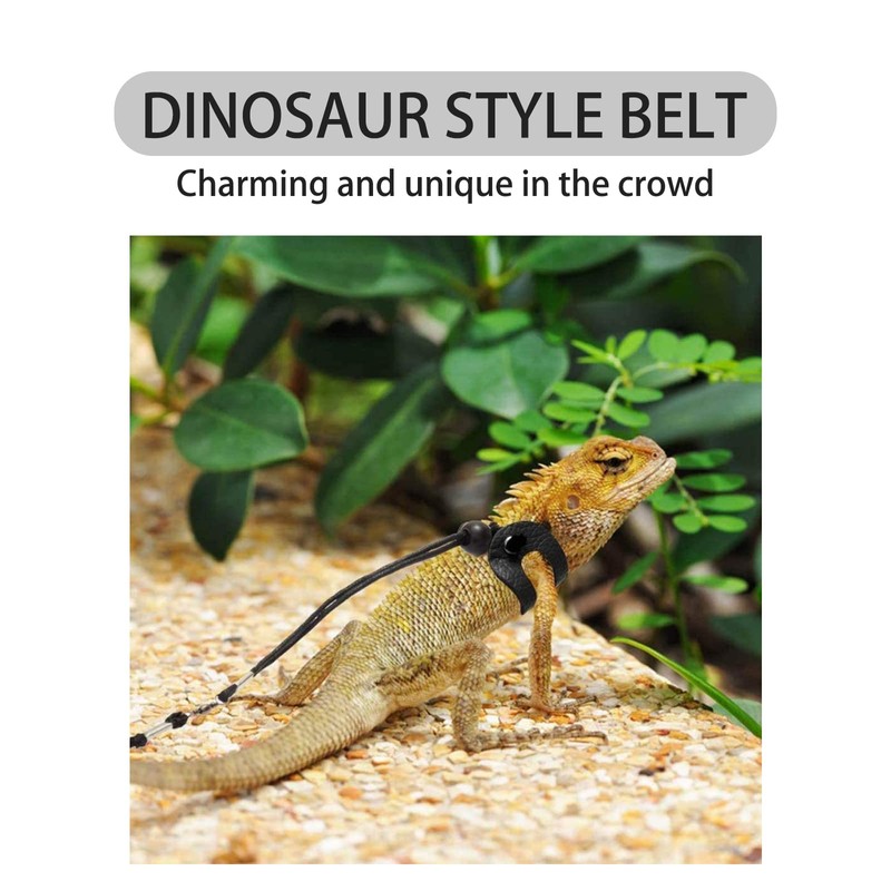 Soft Leashes for Small Pets -Ideal for Bearded Dragons, Amphibians