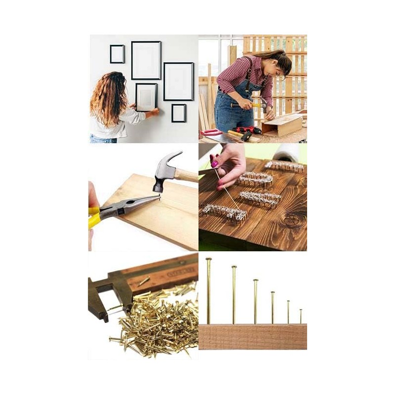 1200Pcs Small Tiny Nails Carbon Steel Brass Plated for Wooden