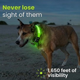 Tractive LED Light Up Dog Collar USB Rechargeable Waterproof (Green)