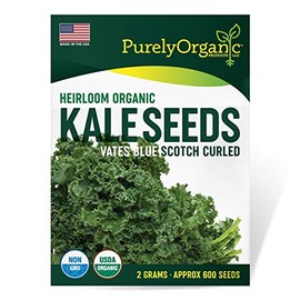 Purely Organic Products Purely Organic Heirloom Kale Seeds (Vates Blue Scotch Curled) - Approx 600 Seeds