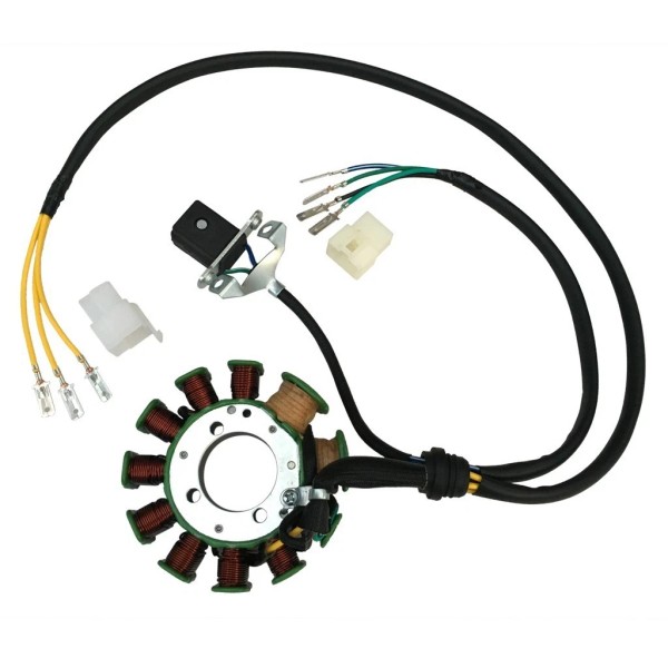 Unbranded 11 Coils Magneto Stator Engine for 140cc 200C 250CC