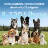 JESWO Collar Antiladridos Perro con Pantalla y 7 Sensibilidades Ajustables
