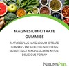 Natures Plus Citrato de magnesio 105 mg gomitas 75 g