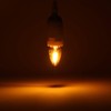 KINUR Night Light Bulbs, C7 LED Bulbs E12 Candelabra Base