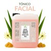 Tónico Agua De Rosas Con Hamamelis Benjui Aloe Vera 20L