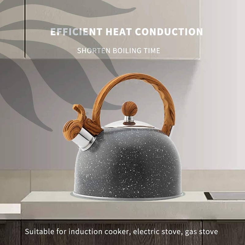 Webao Tea Kettle Whistling Kettle Induction 2.5 L Stainless Steel
