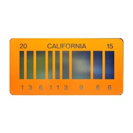 Celebrity Machines Back to The Future 2 | 2015 | Metal License Plate