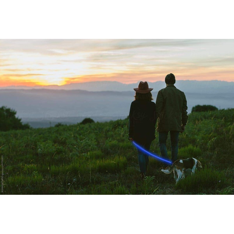 Night Scout Dog Leash (Pink)