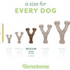 Benebone Wishbone Durable Dog Chew Toy for Aggressive Chewers –