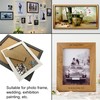 100 Pack Metal Triangle Ring Picture Hangers, D Rings Picture