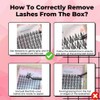 The 470PCs Ninetynine Dreams Lashes Bundle Manhua Anime Manga Lashes