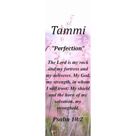 Tammi "Perfection" Keepsake Name Meaning Bookmark with Bible Verse and Tassel