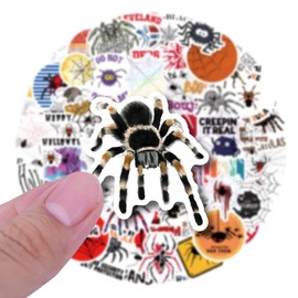 50 Packs Spider Stickers Water Bottles Laptop Phone Motorcycle Computer Guitar Skateboard Hydroflasks Funny Animal Vinyl Sticker Waterproof Aesthetic Trendy Decals for Teens Girls Adults