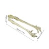 Claw Style Ice Tong Stainless Steel Hand Polished Eagle Claw