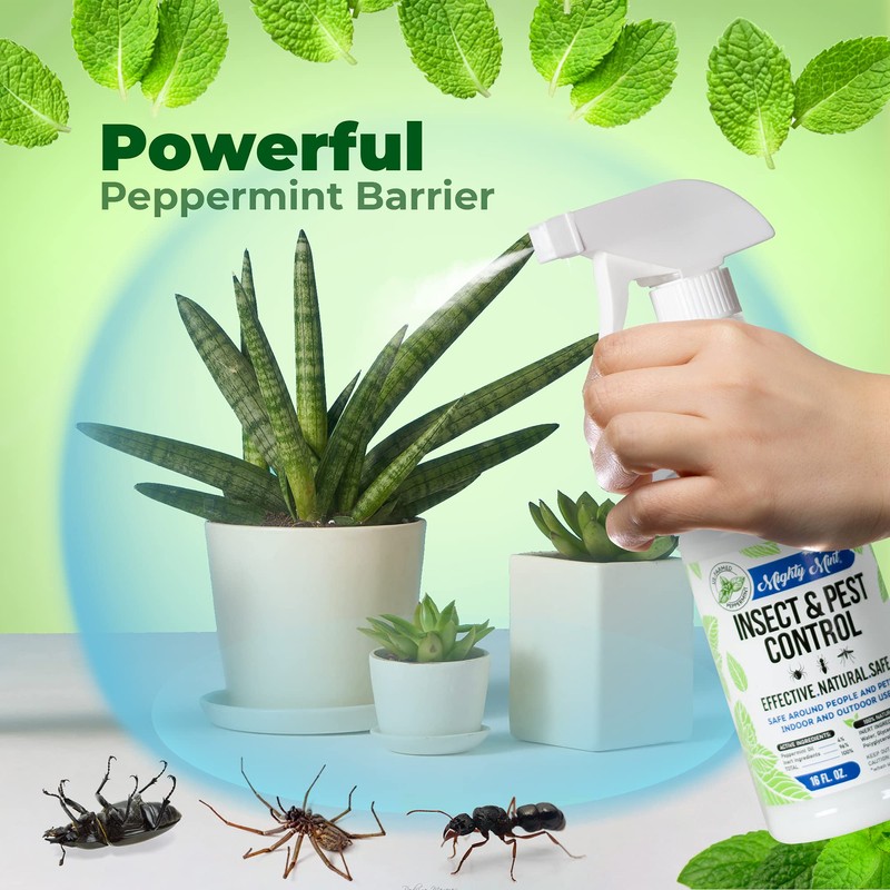 Mighty Mint Peppermint Oil Insect Repellent Spray – Natural Indoor