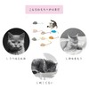 Cat Toy, Pet Toy, Mouse Toy, Set of 8, Cat
