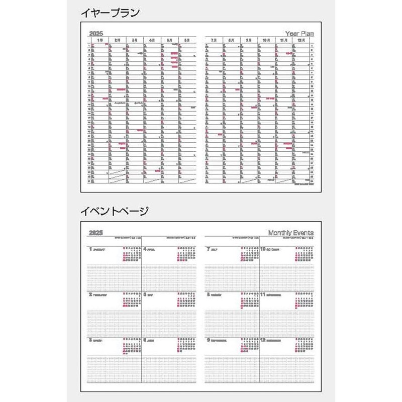 Logical Diary 2025 Cover Type Month/B6/Gray NSV-B602-25N