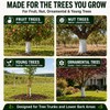 Tree Paint, 35 Oz White Trunk Paint Protection for Fruit,