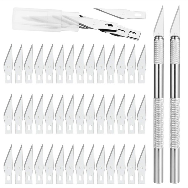 GOLDGE Precision Cutter, Artistic Carving Knife, 2 Handles and 42 Replacement Blades with Case, Solid Metal Pen Knife, for Hobbies Cutting Stencil, DIY