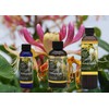  Mystic Romance Premium Scent Oil Set of 3 2oz+4oz+8oz