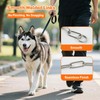 Yternal Professional Dog Martingale & Choke Chain – 3-Way Stainless